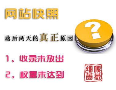 網(wǎng)站快照落后兩天的真實(shí)原因