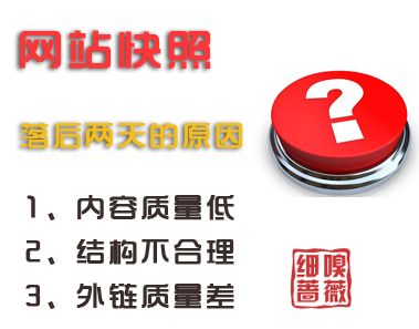 網(wǎng)站快照落后兩天的真實(shí)原因
