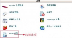 cPanel設(shè)置MIME類型