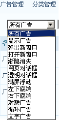 NetCMS Advs1.png