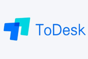 ToDesk