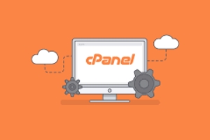 cPanel