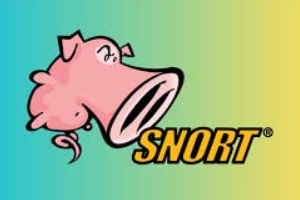 Snort IDS