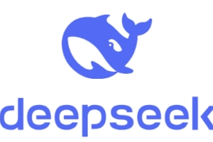 DeepSeek